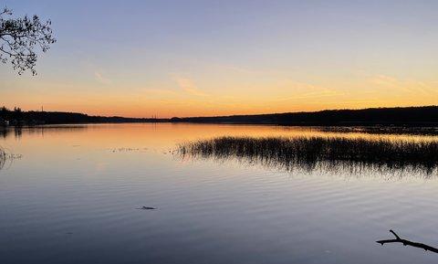 Stienitzsee: Einfamilienhäuser im Grünen kaufen Stienitzsee: Einfamilienhäuser im Grünen kaufen