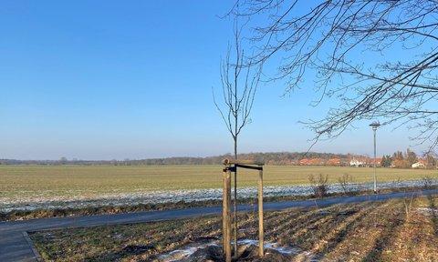 Baufortschritt Baufortschritt