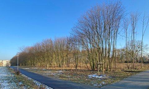 Baufortschritt Baufortschritt